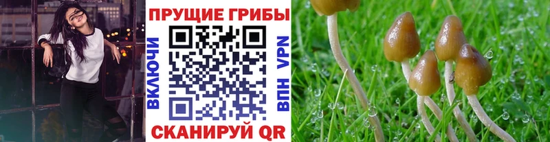 даркнет сайт  Слюдянка  Псилоцибиновые грибы ЛСД 